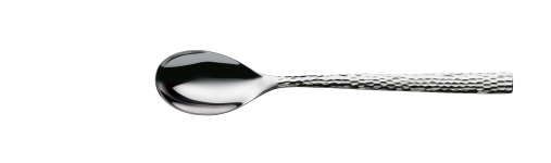 Spoon inMotion