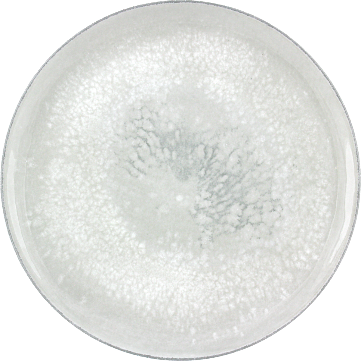 Plate flat round coupe 17cm SALT