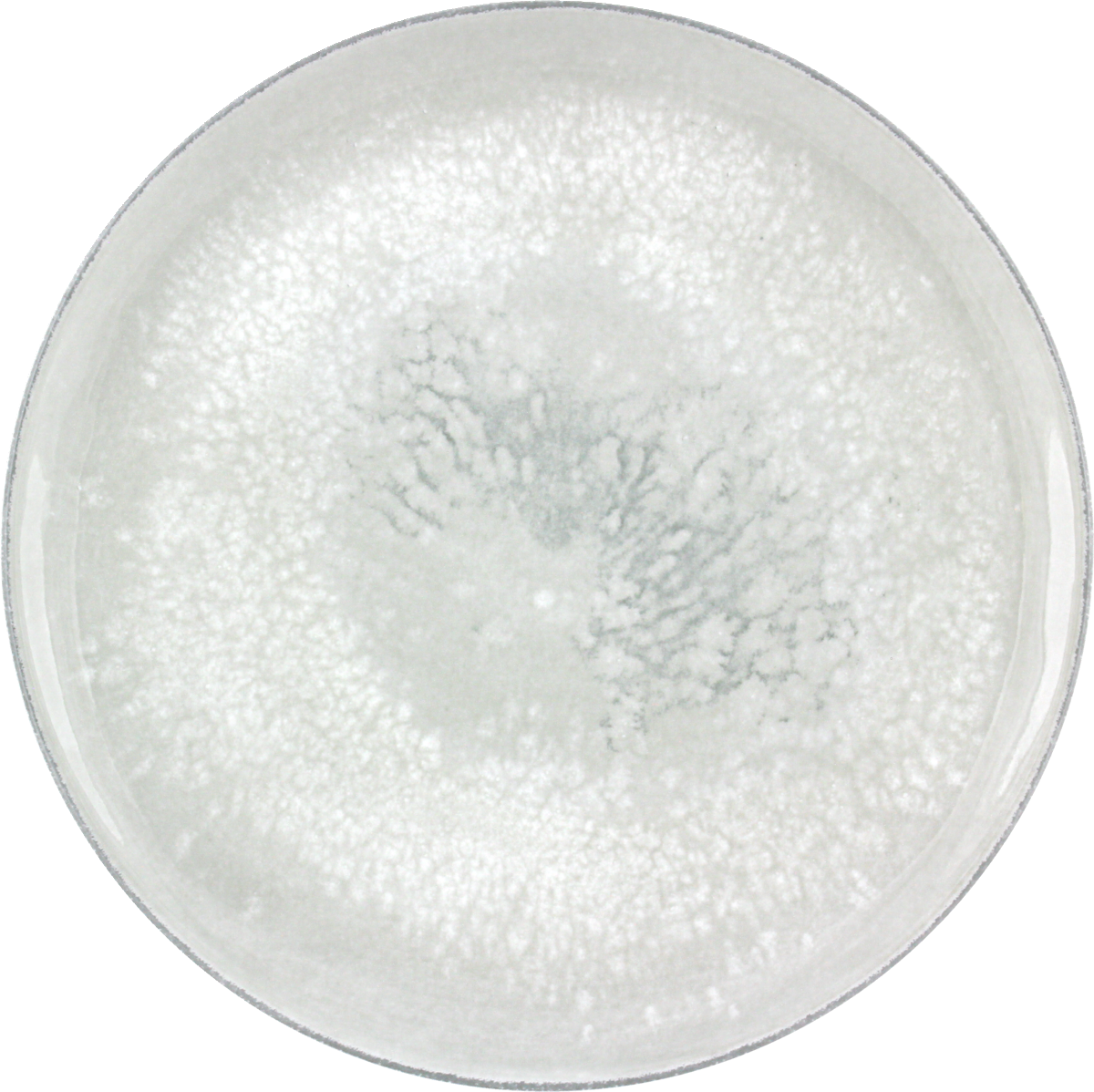 Plate flat round coupe 28cm SALT