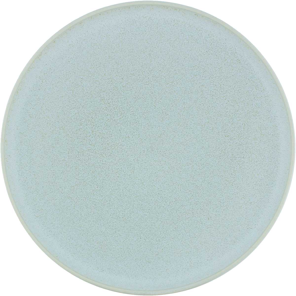 Plate flat round coupe frost 21cm