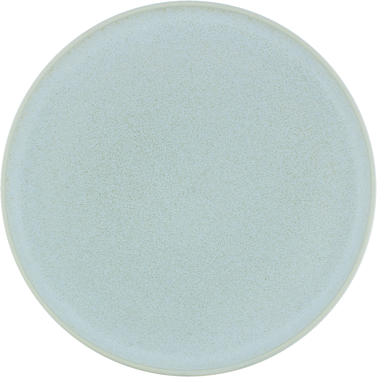 Plate flat round coupe frost 24cm
