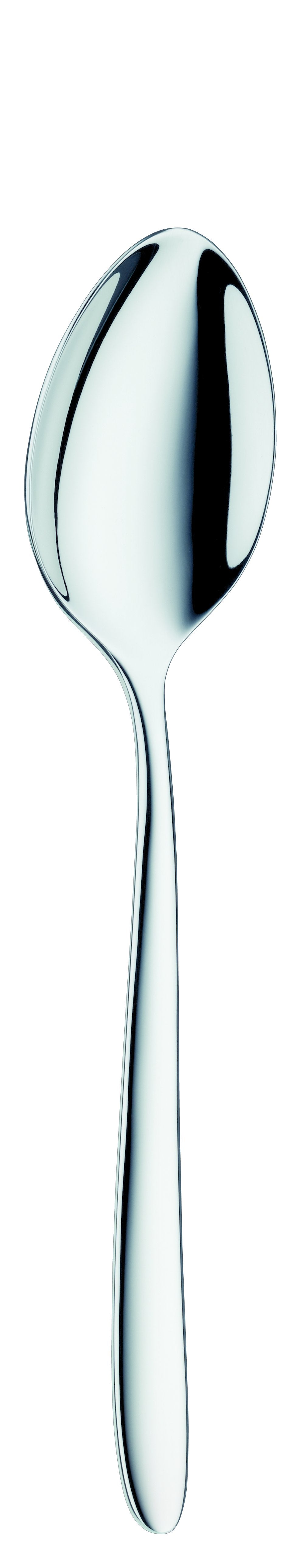 Dessert spoon ECCO 199mm