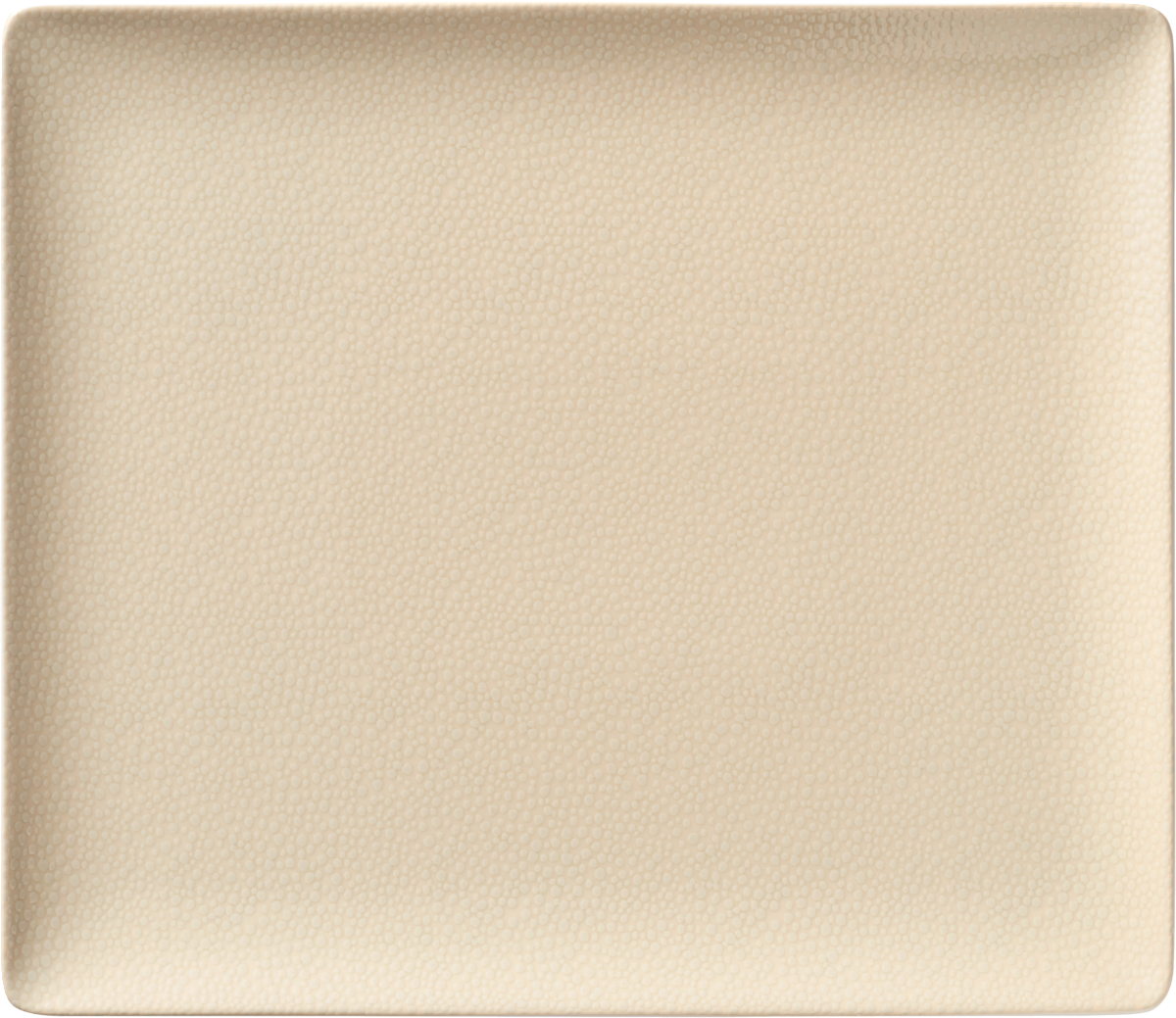 Platter rectangular coupe 27x20cm