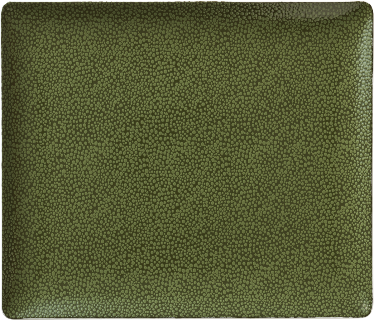 Platter rectangular coupe 27x20cm