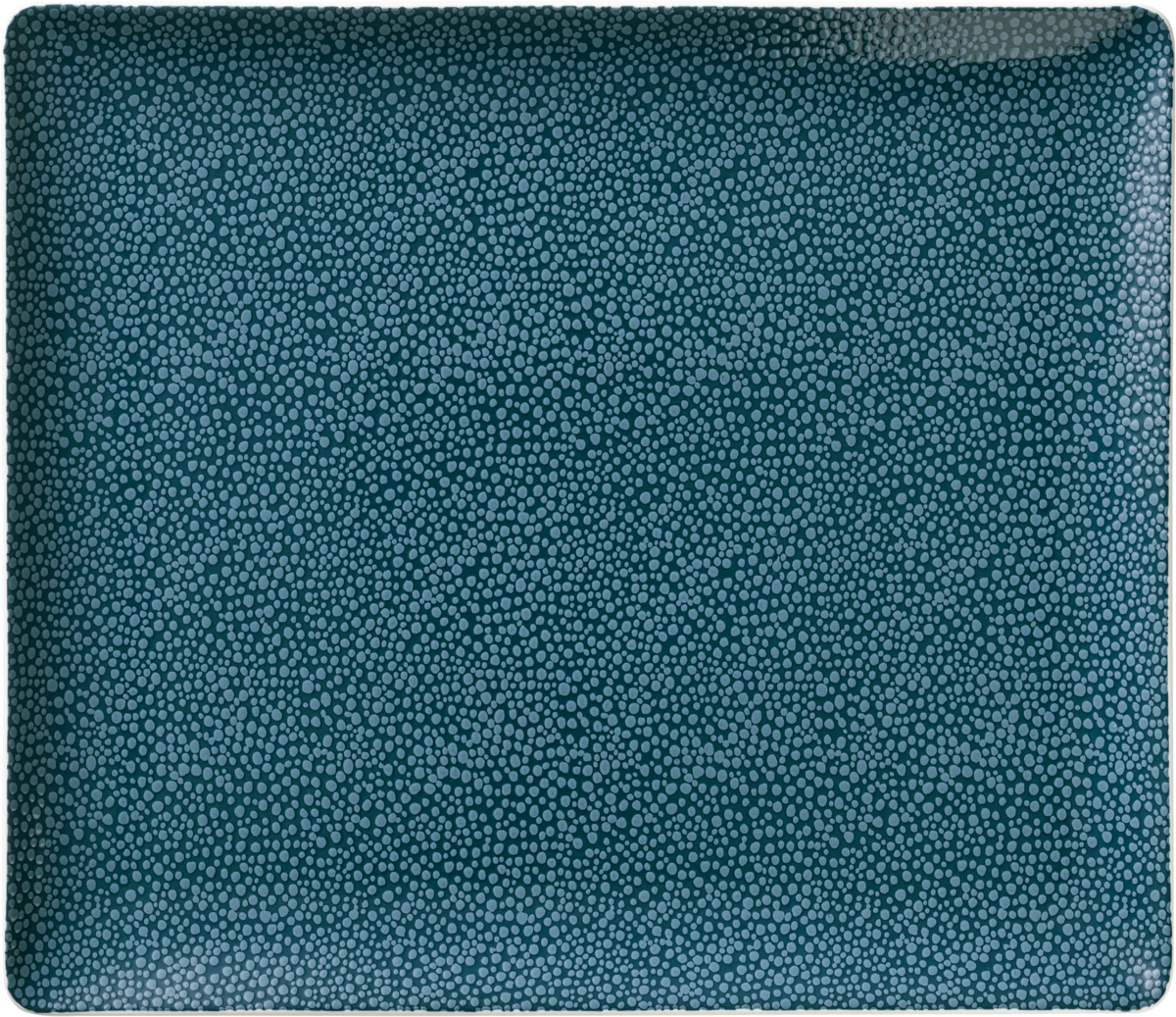 Platter rectangular coupe 27x20cm