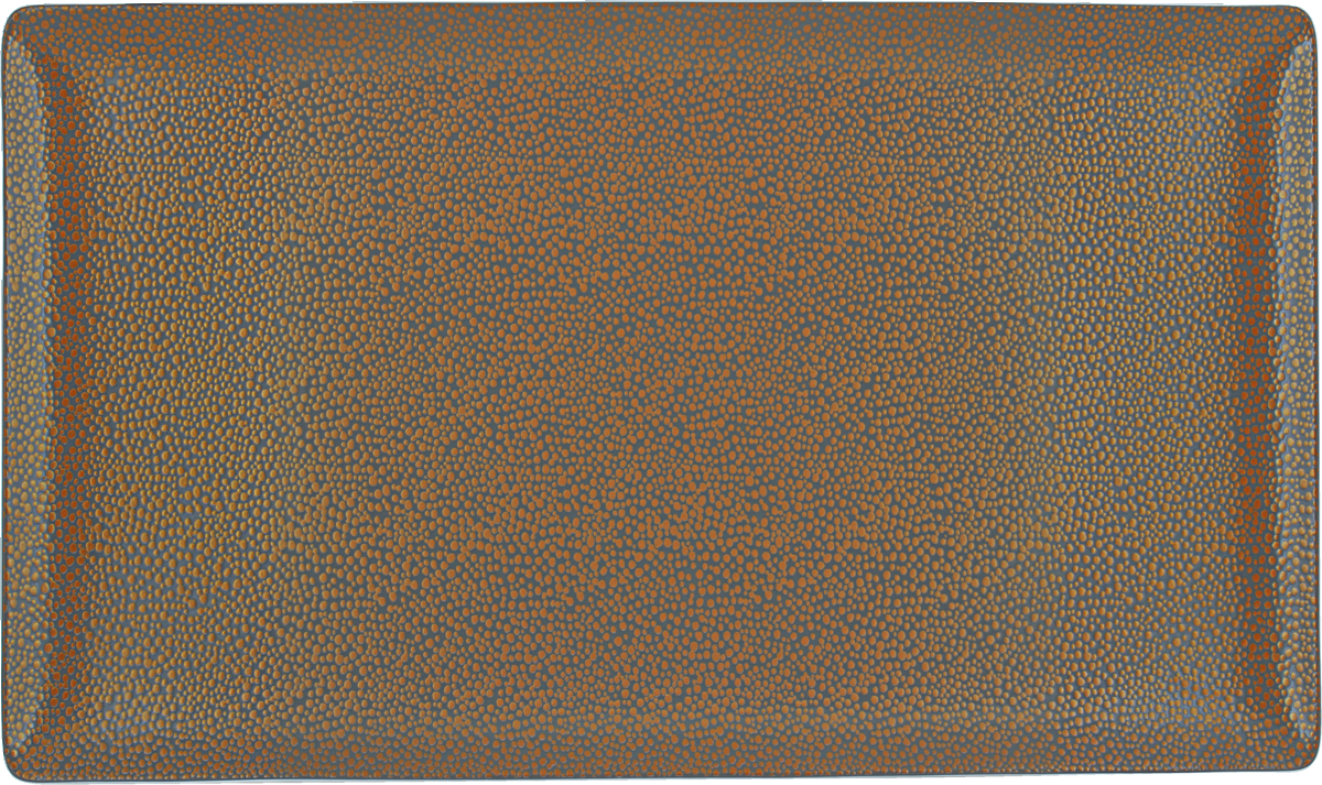Platter rectangular coupe 34x20cm