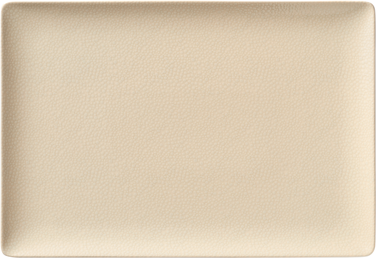 Platter rectangular coupe 34x20cm