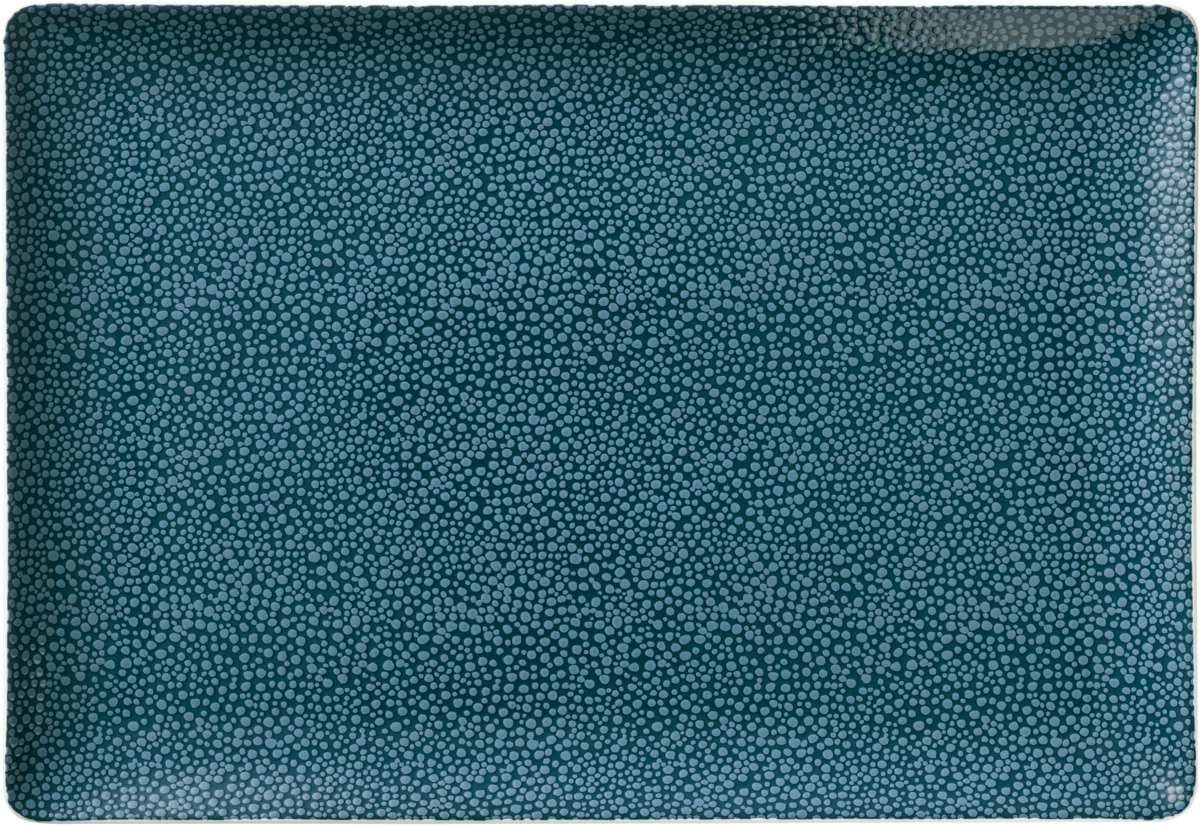 Platter rectangular coupe 34x20cm