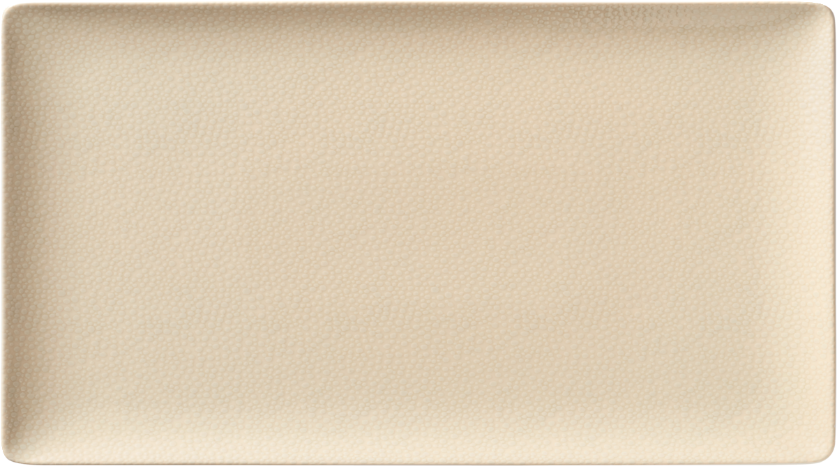 Platter rectangular coupe 42x20cm