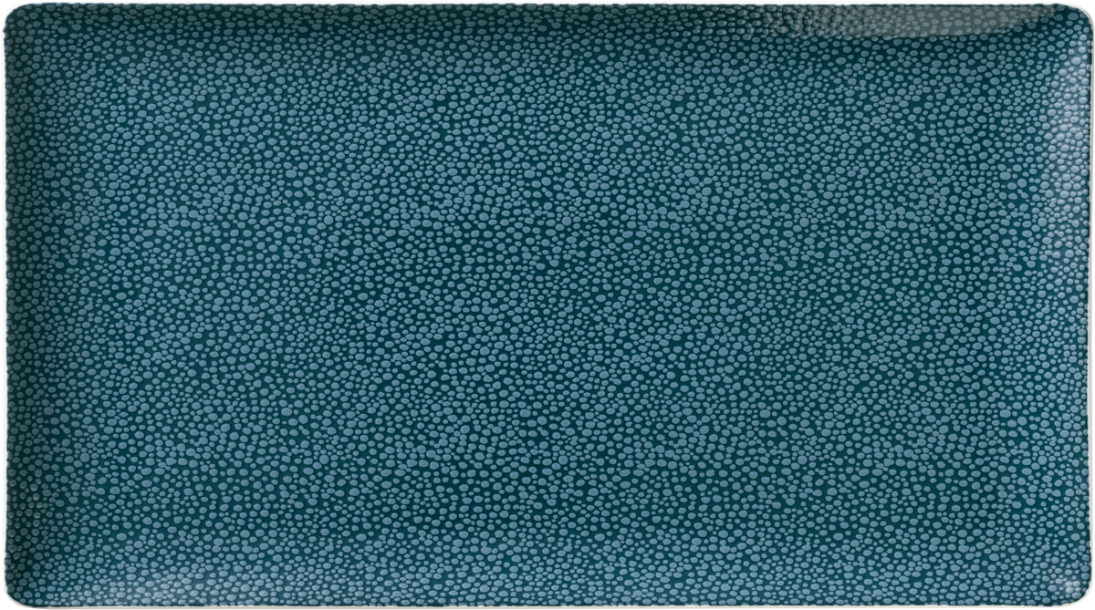 Platter rectangular coupe 42x20cm