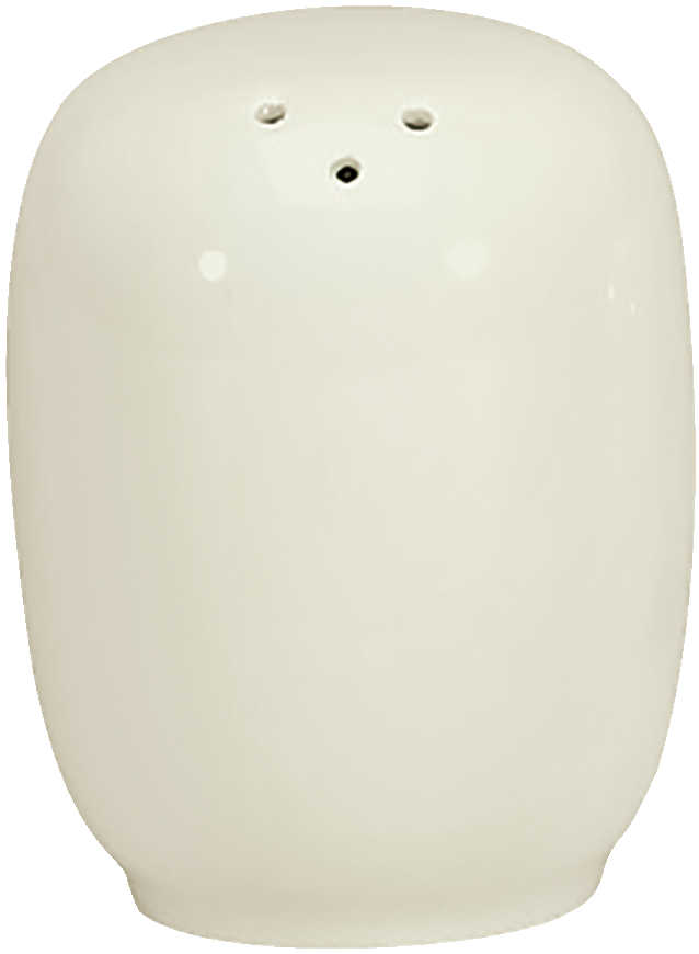 Salt shaker Complete