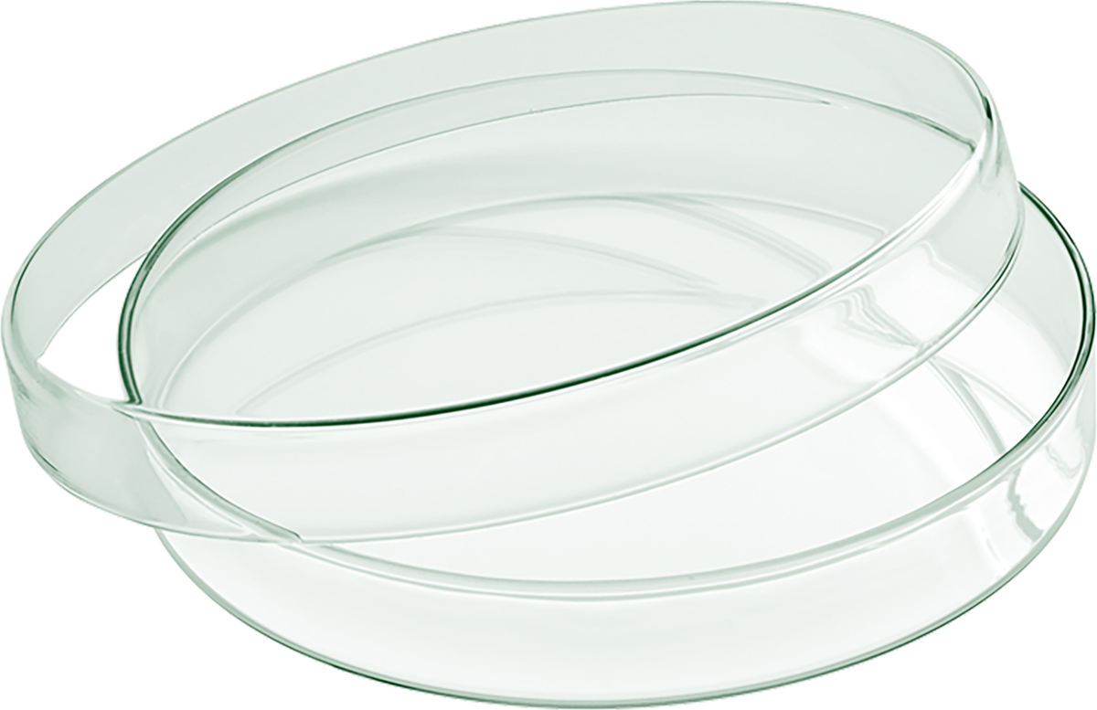 Glass bowl flat with lid 15cm