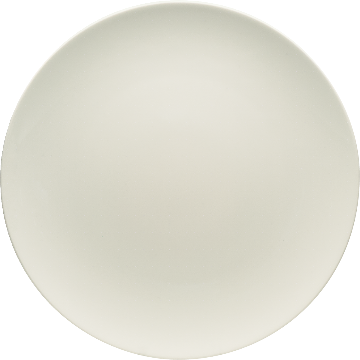 Plate flat round coupe 29cm