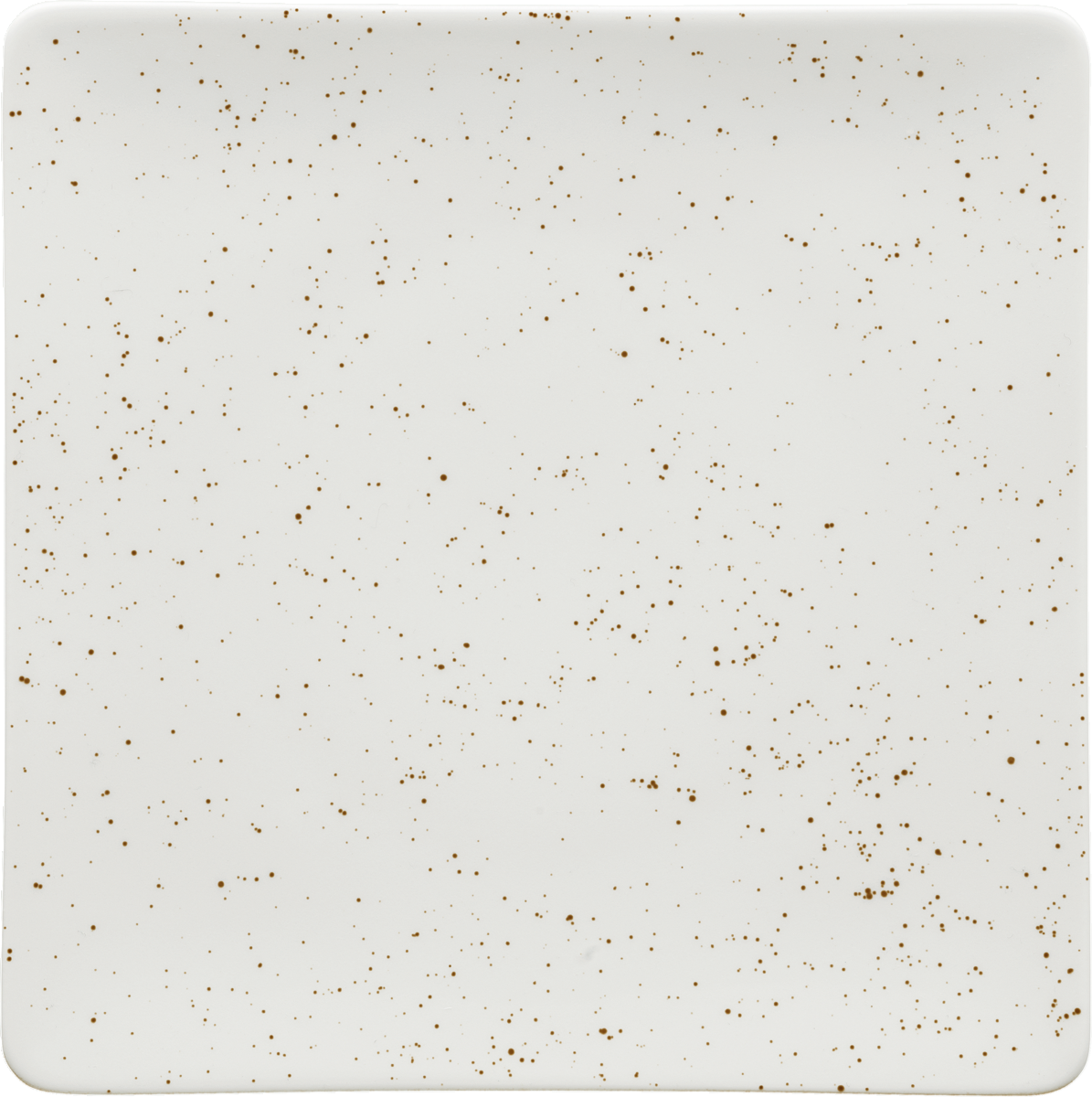 Plate flat square coupe 24cm