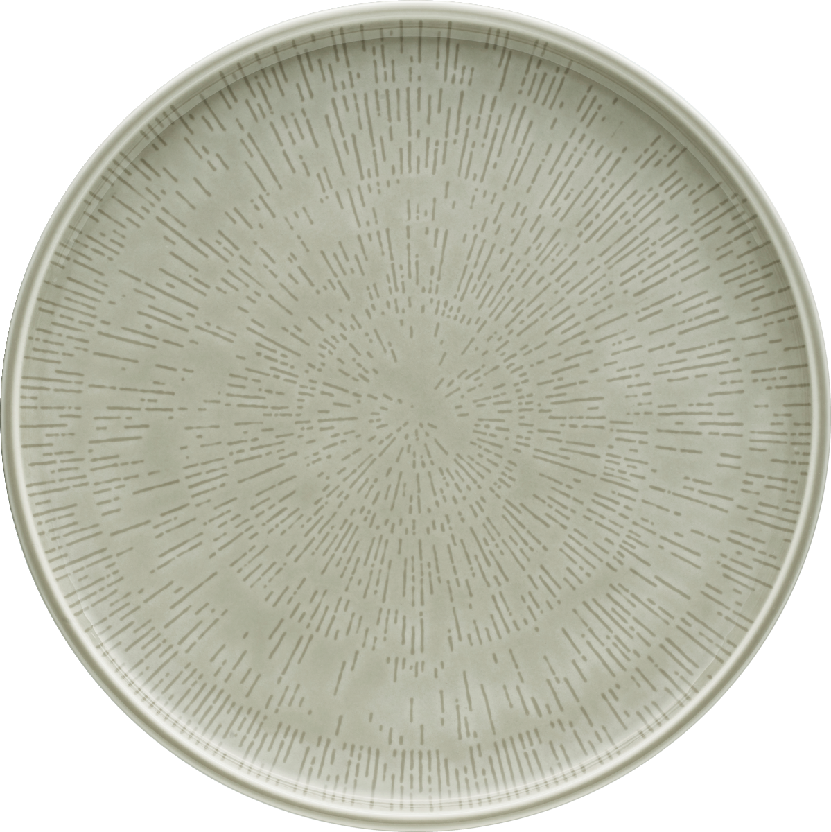 Plate flat round coupe structure STEAM 28cm