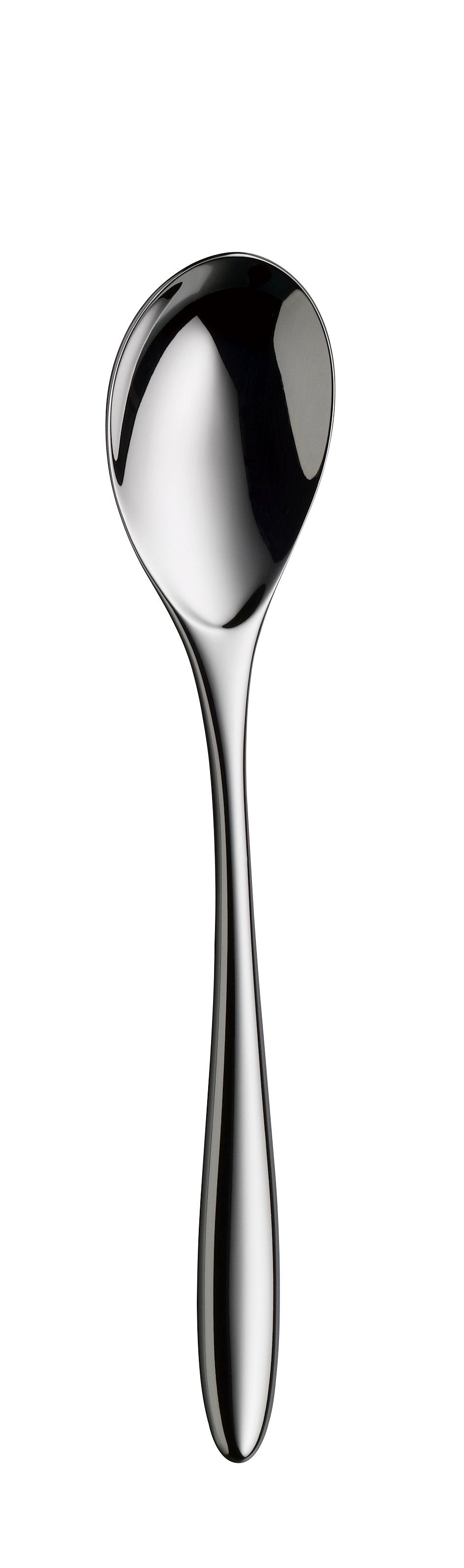 Dessert spoon AVES 201mm