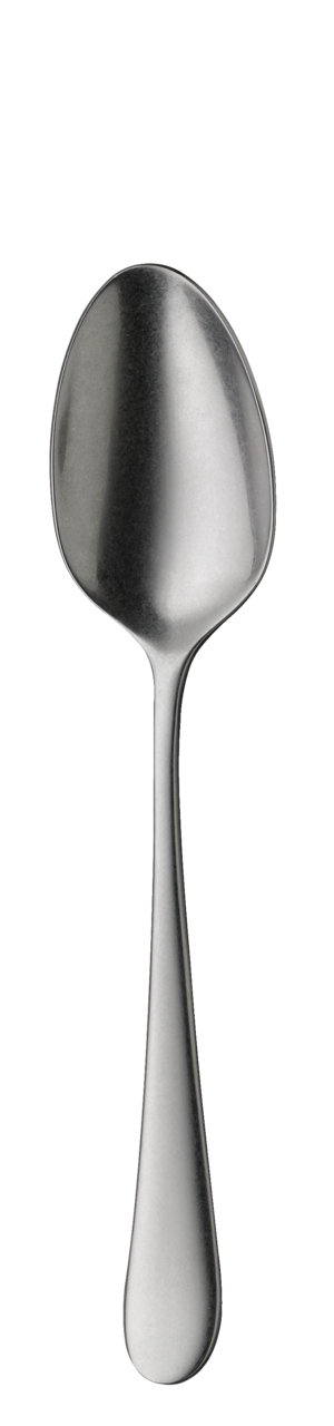 Table spoon SIGNUM stonewashed 212mm