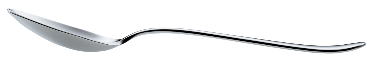 Table spoon SIGNUM 212mm