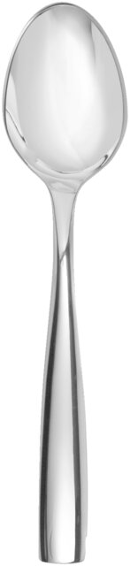 LUCCA Tea Spoon 145mm