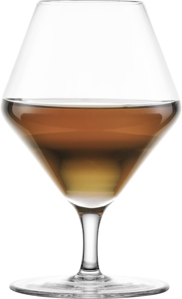 TRANSITION Savory Umami 31,9cl