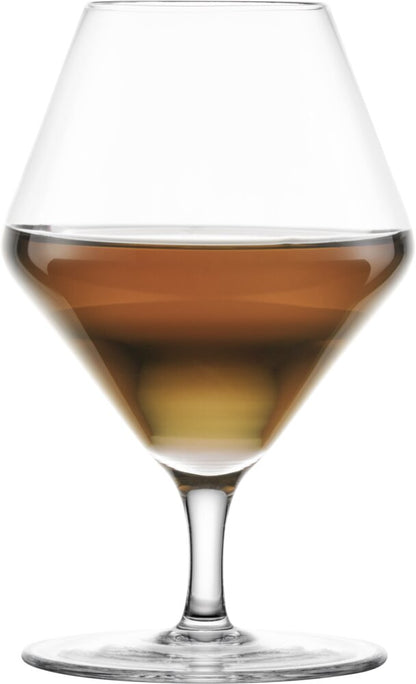 TRANSITION Savory Umami 31,9cl