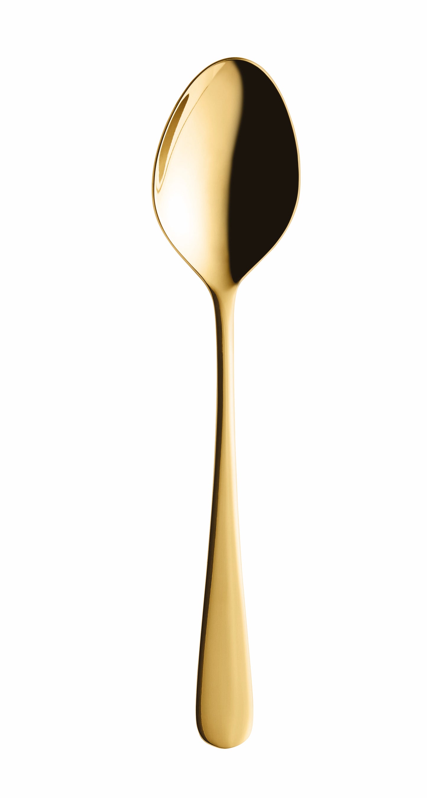 Serving spoon CARLTON 228 mm PVD gold