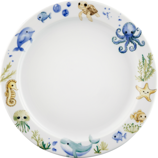 Plate flat round with rim 24cm