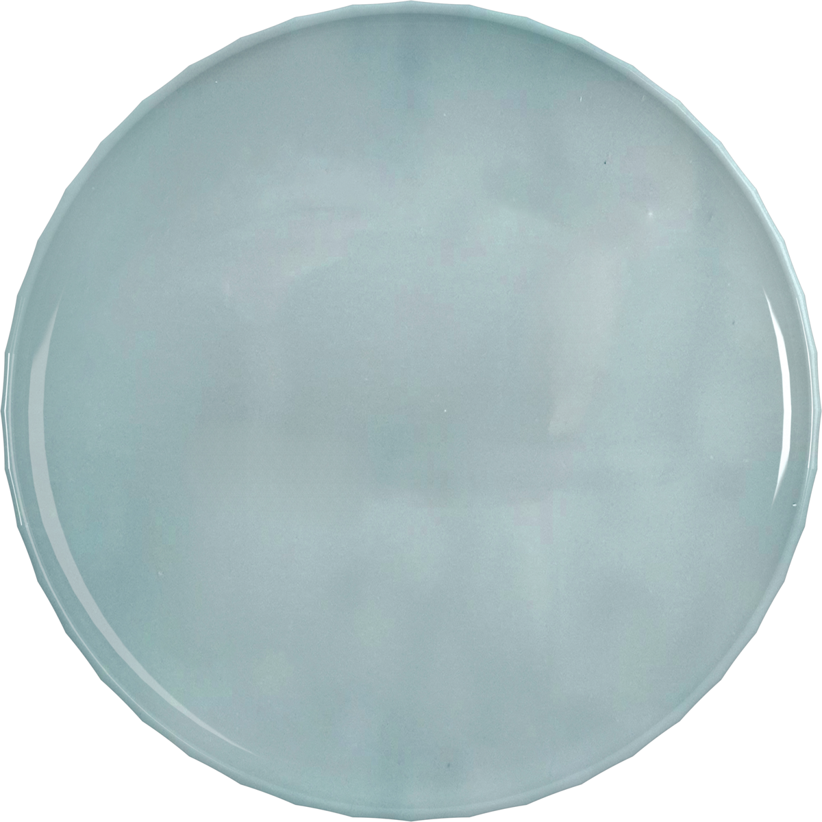 Plate flat round SEA 26cm