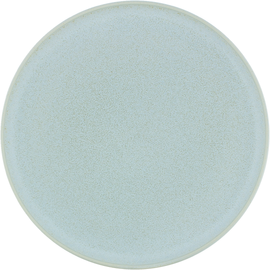 Plate flat round coupe frost 21cm