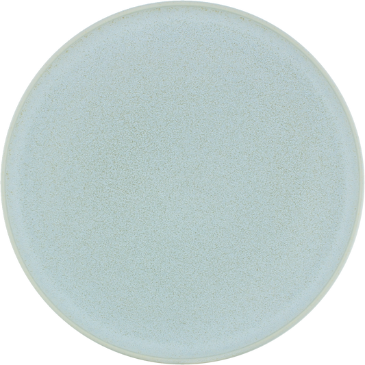 Plate flat round coupe frost 24cm