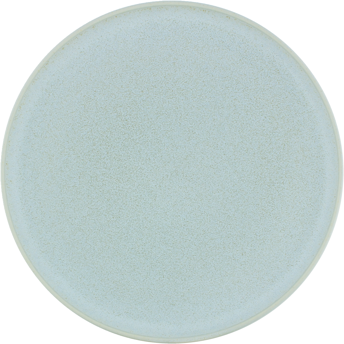 Plate flat round coupe frost 27cm