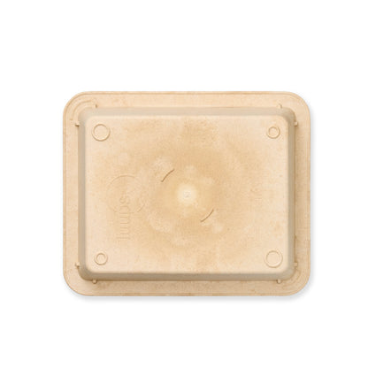 GN-tray 1/2-20mm sand