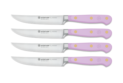 4-piece Steak Knife Set
