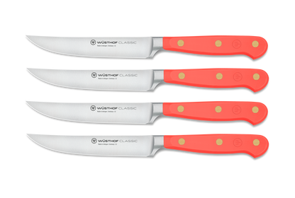 4-piece Steak Knife Set