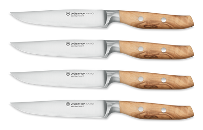 4-piece Steak Knife Set