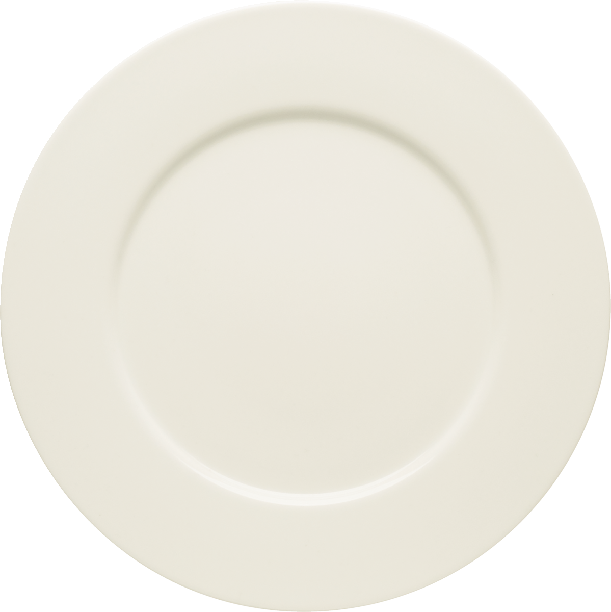 Plate flat round with rim 29cm