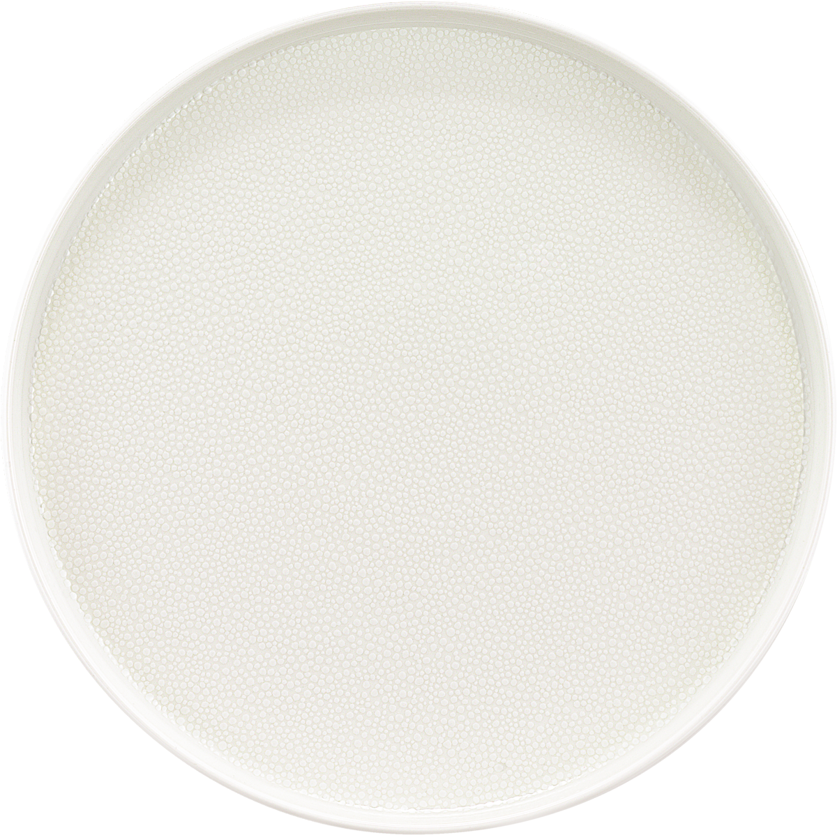 Plate flat round coupe 25cm