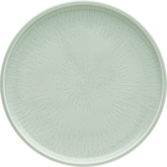 Plate flat round coupe structure FROST 24cm