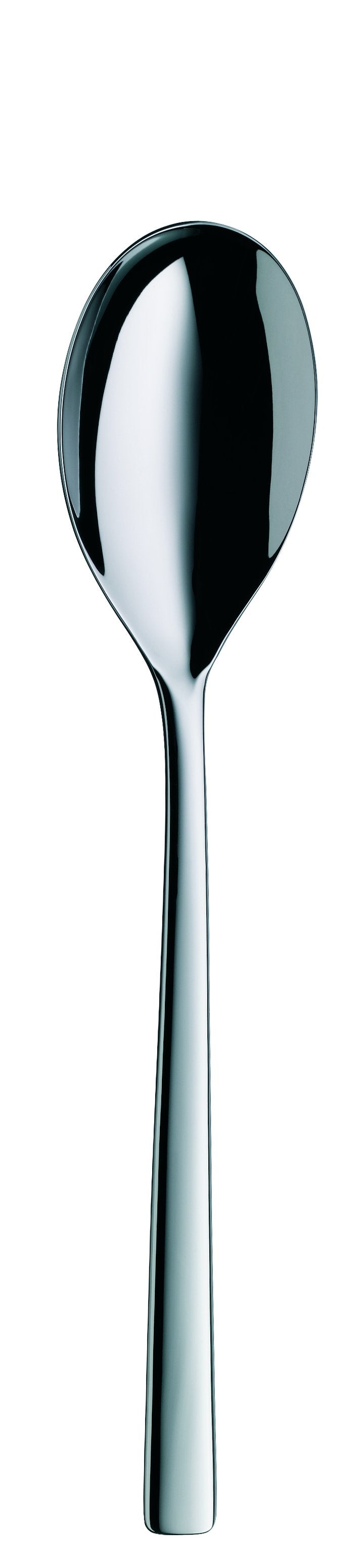 Table spoon LENTO 217mm