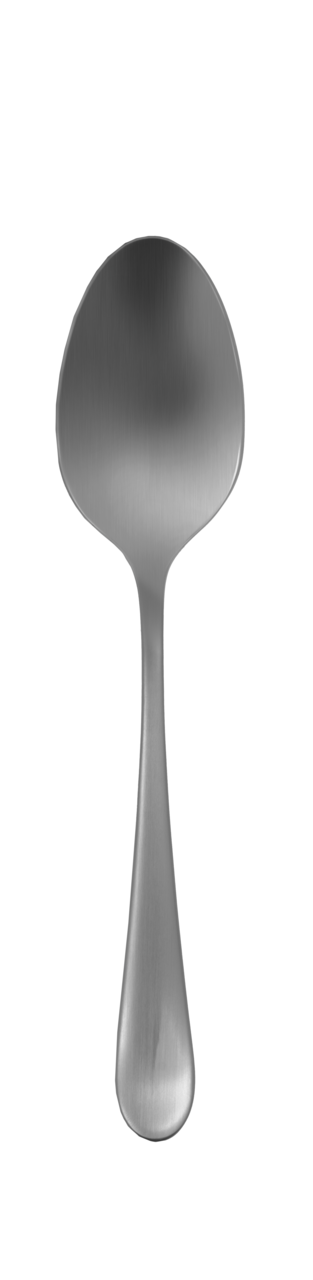 Table spoon SIGNUM brushed 212mm