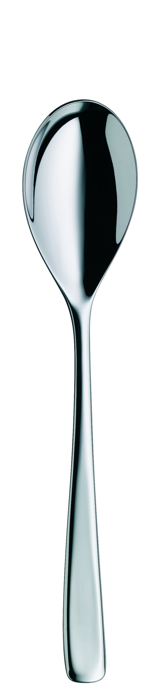 Table spoon MEDAN 214mm
